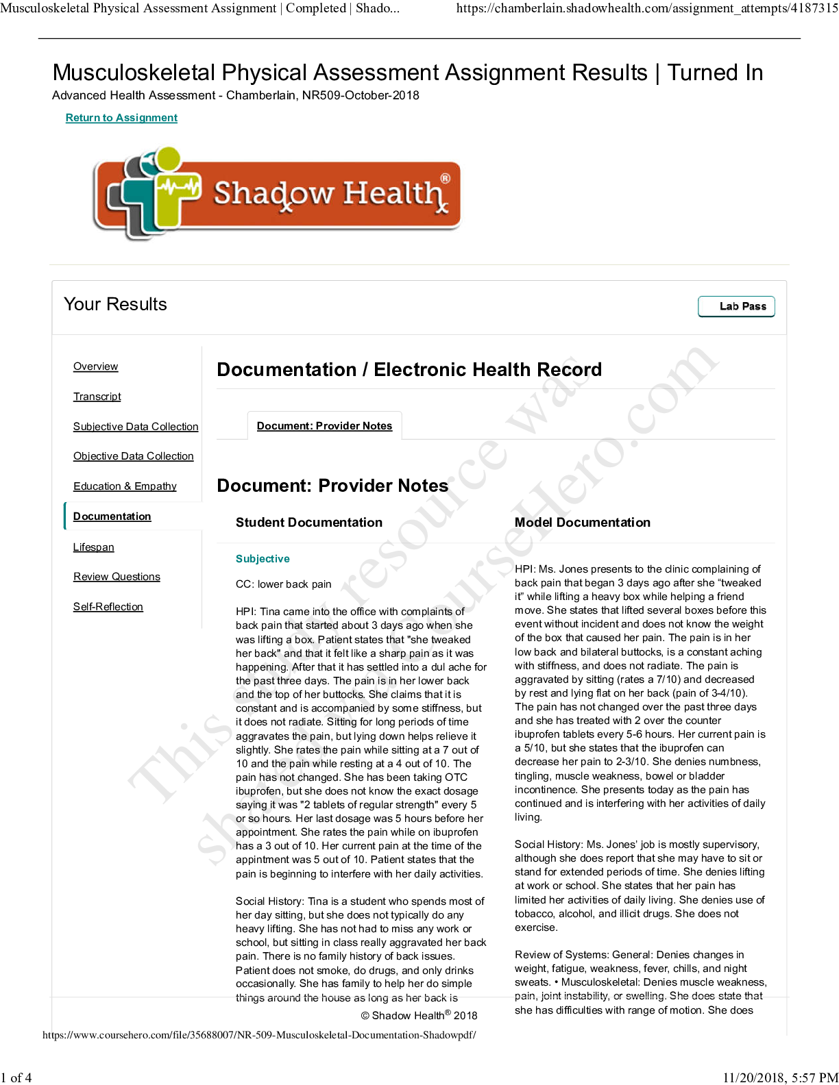 Preview image of NR 509 Musculoskeletal Documentation Shadow document